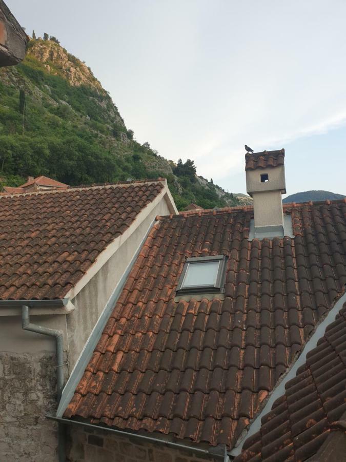 Nova Dvokrevetna Soba Sa Dva Odvojena Kreveta I Zajednickim Kupatilom Hotel Котор Екстериор снимка